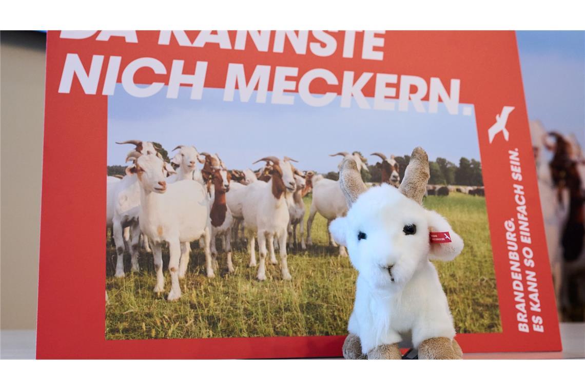 Wessis für Umzug gesucht: "Sympathisches Brandenburg" Brandenburg wirbt mit einer neuen Kampagne für Zuzüge aus Westdeutschland. (Archivbild)