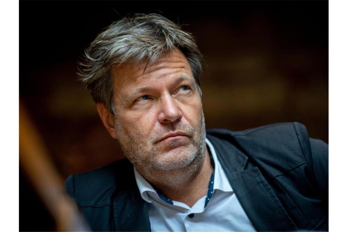 Vom neuen Stil in der deutschen Politik Braucht der Grünen-Vorsitzende Robert Habeck eine Krawatte?. Foto: Kay Nietfeld/dpa