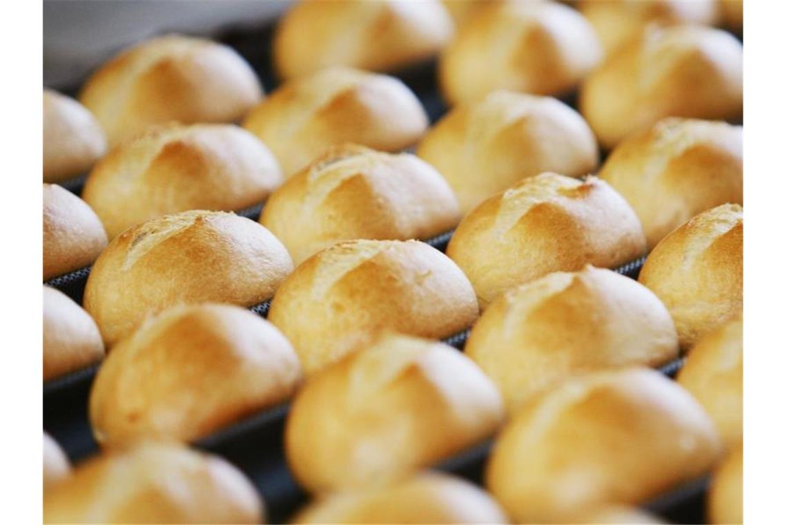 Brötchen auf dem Fließband in einer Großbäckerei kommen aus dem Ofen. Foto: Achim Scheidemann/dpa/Archivbild