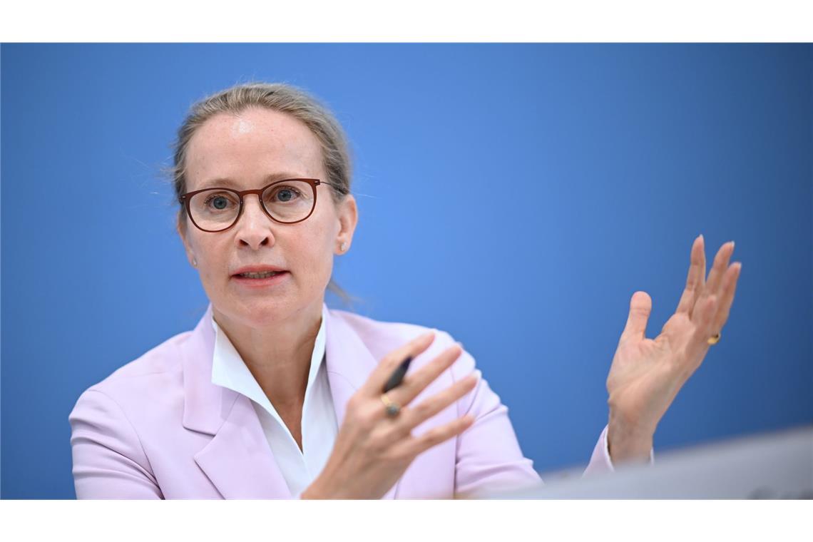 Brosius-Gersdorf hatte selbst Gutachten der Doktorarbeit in Auftrag gegeben. (Archivbild)