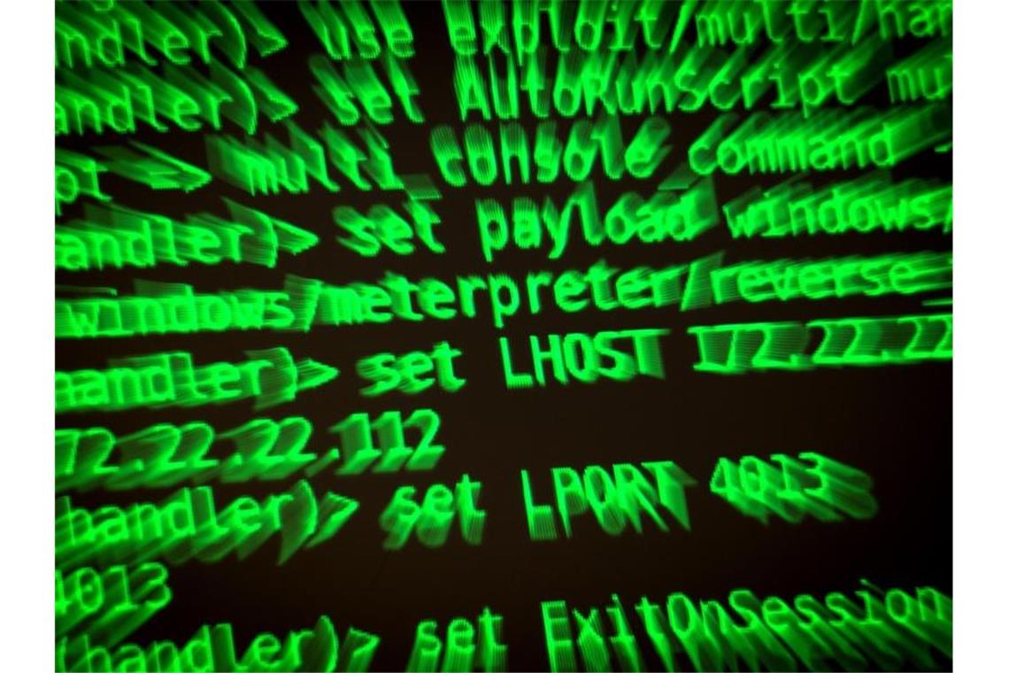 Buchstaben und Zahlen leuchten auf einem Bildschirm auf dem ein Hackerwerkzeug läuft. Foto: Sina Schuldt/dpa