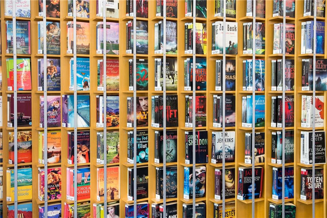 Spiegel der Menschheitsgeschichte Bücher, Bücher, Bücher: Wenn Abenteuer in der realen Welt gerade eher seltener sind, eröffnet die Welt der Bücher einen wahren Schatz an Fantasiereisen. Foto: A. Becher