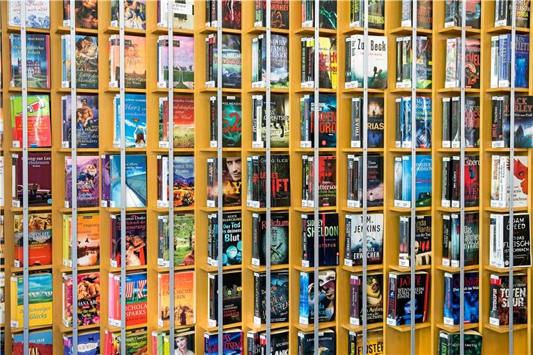 Bücher in der Stadtbücherei Backnang. Foto: A. Becher