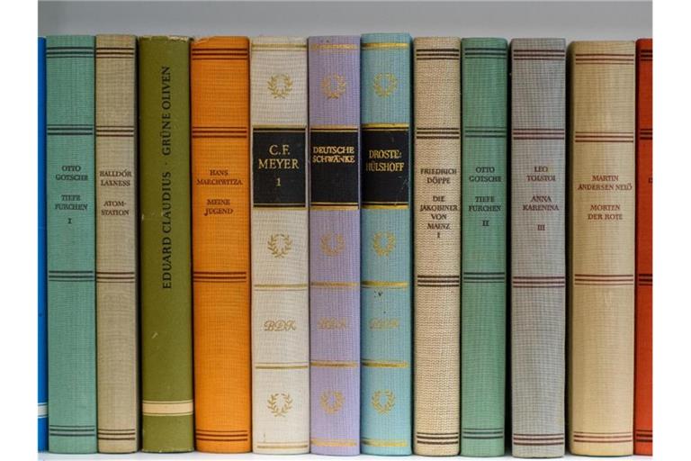 Bücher stehen nebeinander. Foto: Klaus-Dietmar Gabbert/dpa-Zentralbild/ZB/Symbolbild