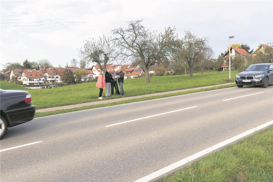 Bürger gegen Straßenlärm: Einige der Initiative stehen vor der Burgstaller Straße (K1906), auf der nach ihrer Ansicht viele Autofahrer viel zu schnell fahren und so unzumutbaren Lärm erzeugen würden, hinter ihnen die Wiese, auf der das Neubaugebiet Brühl VI geplant ist. Foto: J. Fiedler