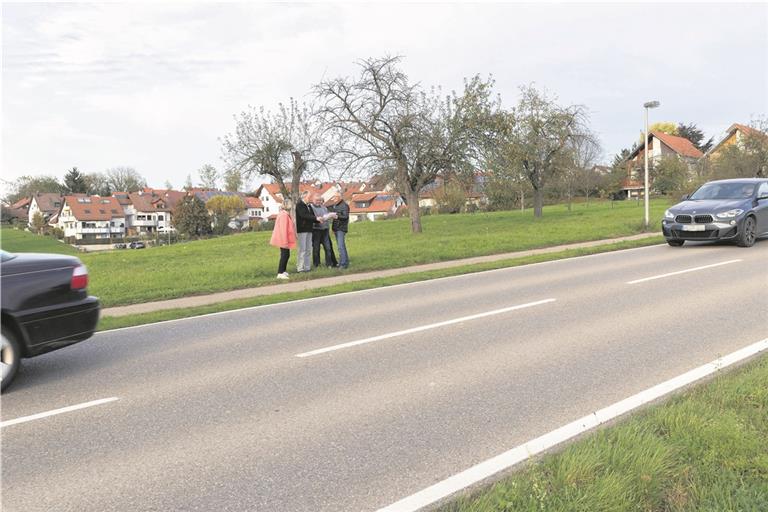 Bürger gegen Straßenlärm: Einige der Initiative stehen vor der Burgstaller Straße (K1906), auf der nach ihrer Ansicht viele Autofahrer viel zu schnell fahren und so unzumutbaren Lärm erzeugen würden, hinter ihnen die Wiese, auf der das Neubaugebiet Brühl VI geplant ist. Foto: J. Fiedler