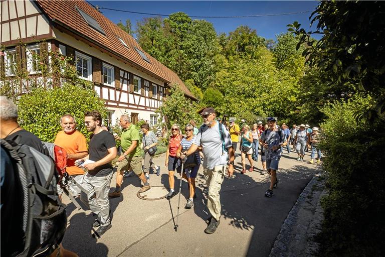 Bürgermeister Gabriel Nold (vorne mit Sonnenbrille und dunklem T-Shirt) führt beim BKZ-Wandertag in Oppenweiler rund 95 Teilnehmerinnen und Teilnehmer durch seine Gemeinde. Fotos: Alexander Becher