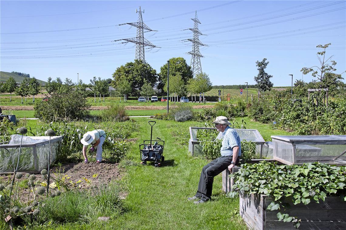 Bürgerpark "Grüne Mitte", Weinstadt. Architektur: A24 LANDSCHAFT Landschaftsarch...