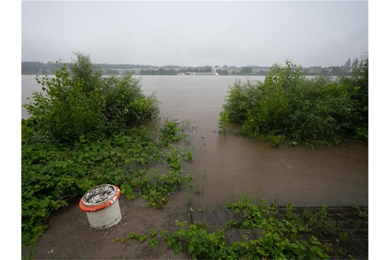 Büsche stehen bei hohem Pegel im Wasser. Foto: Sebastian Gollnow/dpa/Archivbild