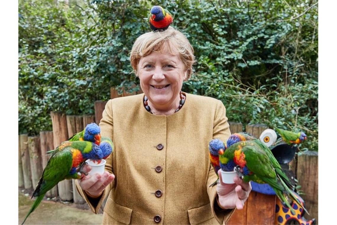 Ein Rückblick: Merkel, die Papageien und das Kleid Bundeskanzlerin Angela Merkel füttert im Vogelpark Marlow australische Loris. Foto: Georg Wendt/dpa