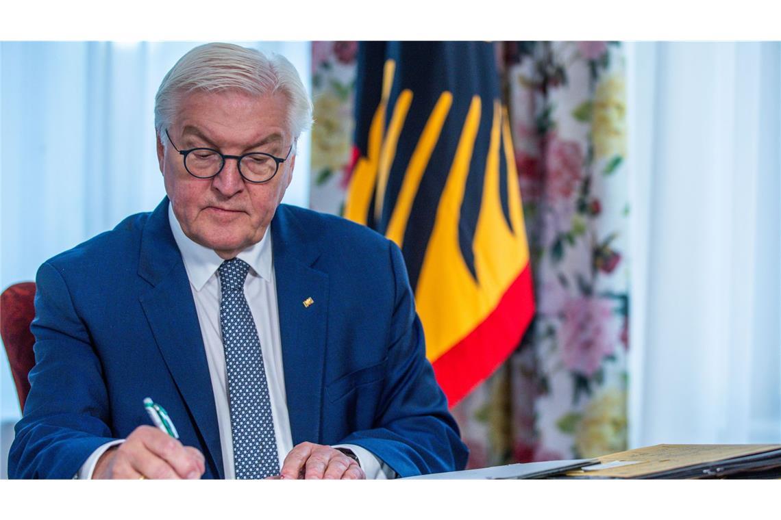 Bundespräsident Frank-Walter Steinmeier (Archivbild)