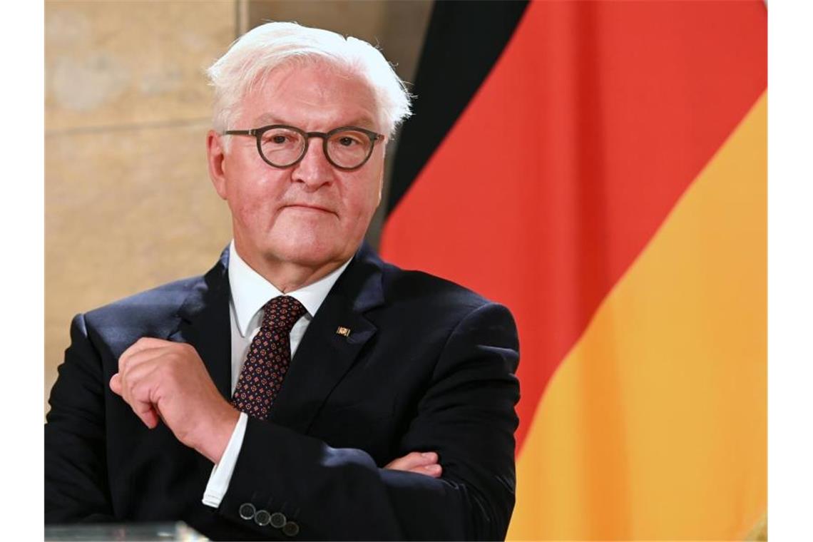 Bundespräsident Frank-Walter Steinmeier: „Es gibt Licht am Ende des Tunnels - allerdings wissen wir nicht, wie lang die Wegstrecke dahin noch ist.“. Foto: Barbara Gindl/APA/dpa