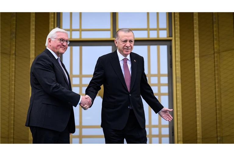 Bundespräsident Frank-Walter Steinmeier und der türkische Präsident Recep Tayyip Erdogan