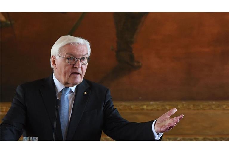Bundespräsident Steinmeier (Archivbild)