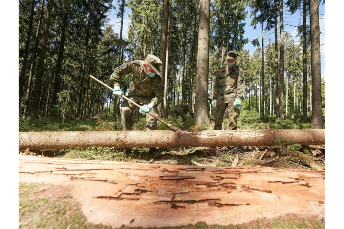 Waldbesitzer: Bundeswehr muss im Borkenkäfer-Kampf helfen