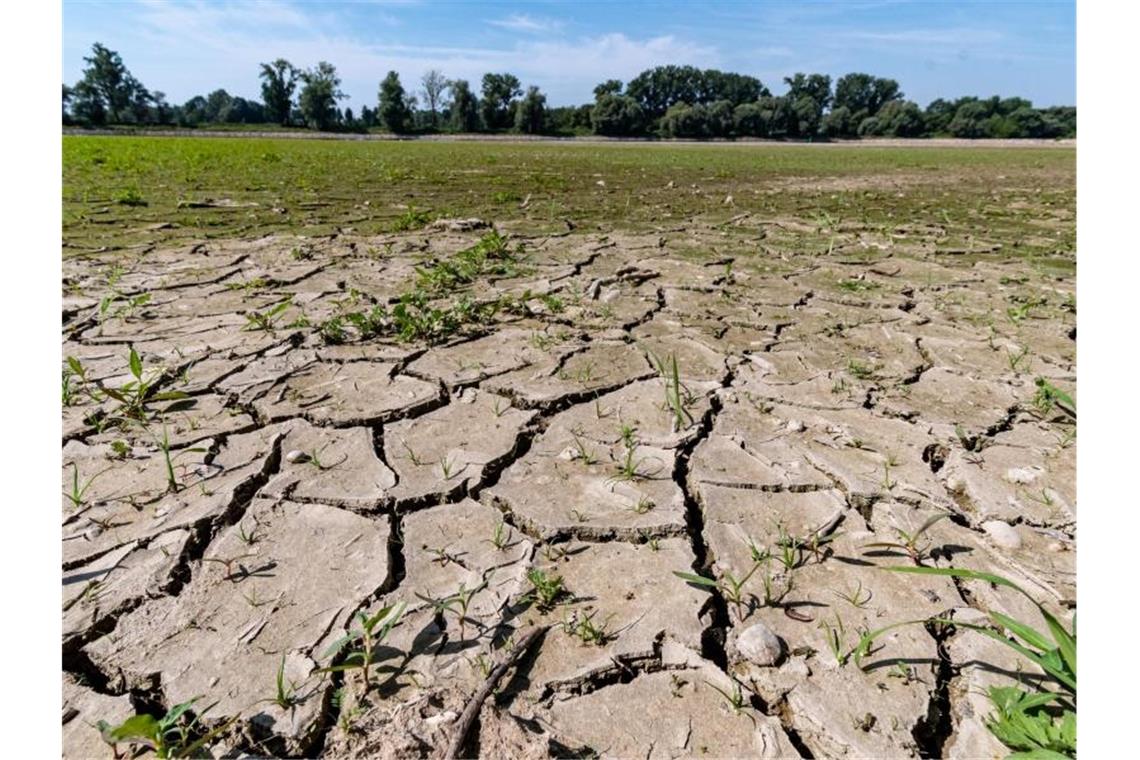 2019 war in Deutschland zweitwärmstes Jahr seit 1881 Bundesweit gab es im vergangenen Jahr 52 Sommertage. Außerdem 17 heiße Tage, an denen die Temperaturen bei 30 Grad und mehr lagen. Foto: Armin Weigel/dpa