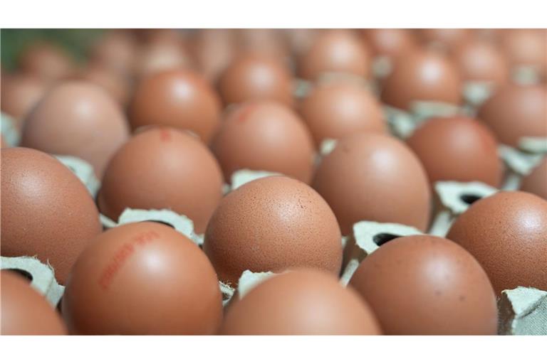 Bundesweit wurden im vergangenen Jahr rund 13,7 Milliarden Eier erzeugt.