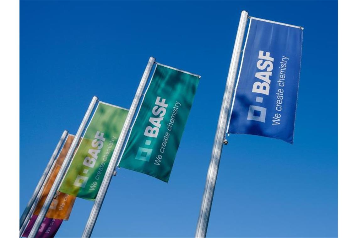 Bunte Fahnen mit der Aufschrift „BASF“ wehen im Wind. Foto: Uwe Anspach/dpa/Archivbild