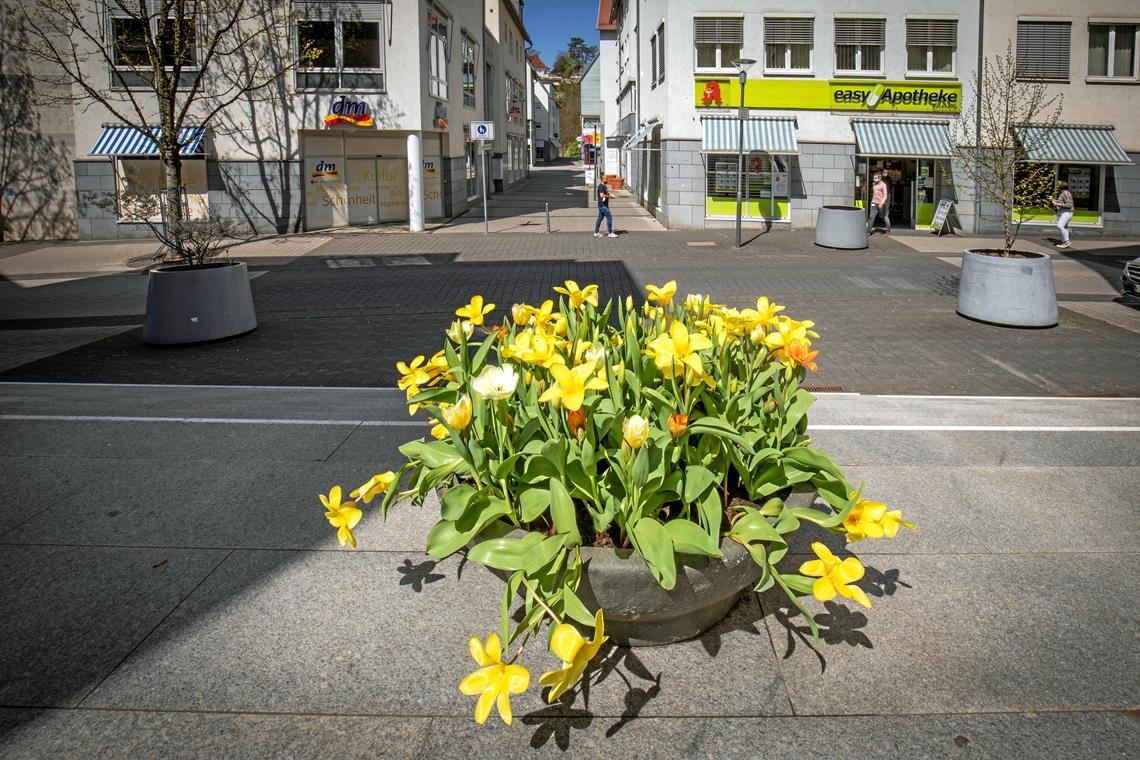Bunte Farbtupfer für mehr Aufenthaltsqualität: Mit der „Offensive Innenstadt“ erhöht die Stadt auch ihr Budget für die Bepflanzung. Foto: A. Becher