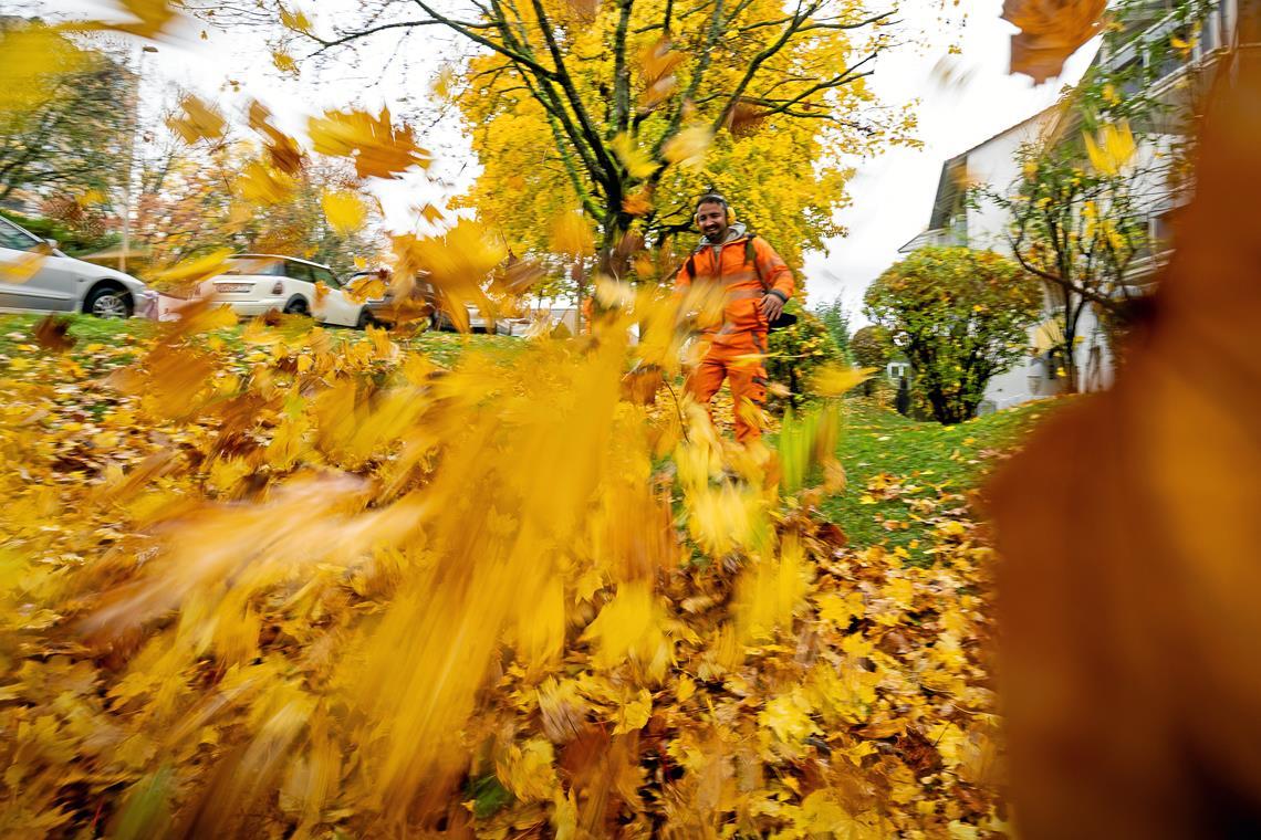 Buntes Laub gab es im Oktober zuhauf, von einem goldenen Monat kann man aber eher nicht sprechen. Foto: Alexander Becher