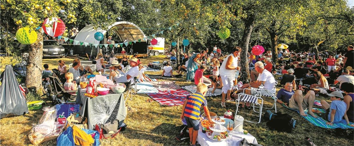 Buntes Treiben, Steaks und Würstchen vom Grill gab’s beim Lümmelpicknick beim Kabirinett in Spiegelberg. Foto: A. Becher