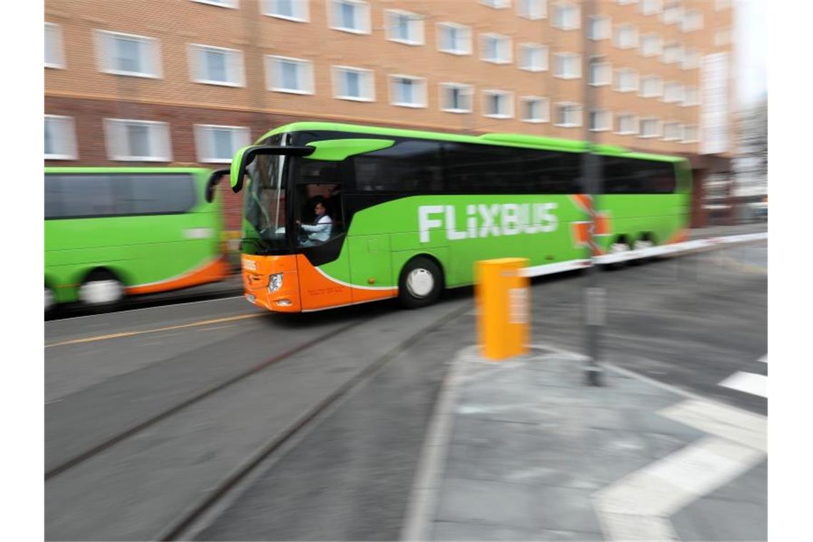 Busse des Fernbusanbieters FlixBus fahren vorbei. Foto: Lukas Görlach/Archivbild