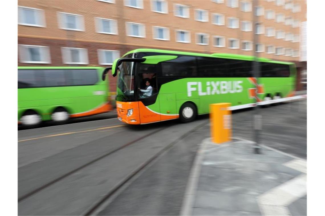Busse von FlixBus fahren in Frankfurt. Foto: Lukas Görlach