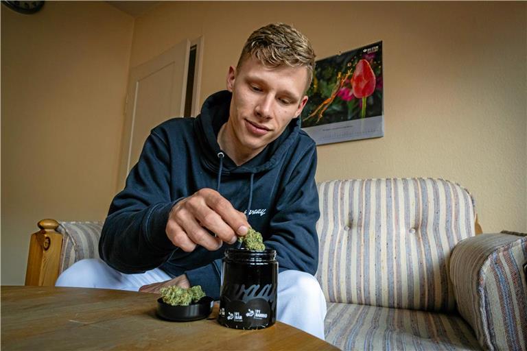 Calvin Gosselke hat zum Gespräch in der BKZ-Redaktion eine Cannabisblüte mitgebracht, die in medizinischer Qualität produziert wurde. Foto: Alexander Becher