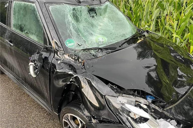 Carola Mertesackers Suzuki wurde von einer Baumspitze getroffen. Foto: privat