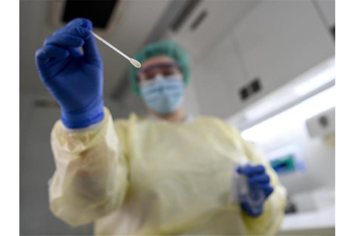 Carolyn Krause, Studienassistentin in Berlin, hält einen Tupfer für einen PCR-Test in der Hand. Foto: Britta Pedersen/dpa-Zentralbild/dpa