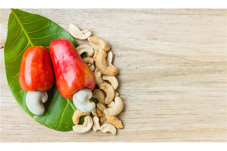 Cashewkerne wachsen, in einer Schale, am Ende der Cashewäpfel.