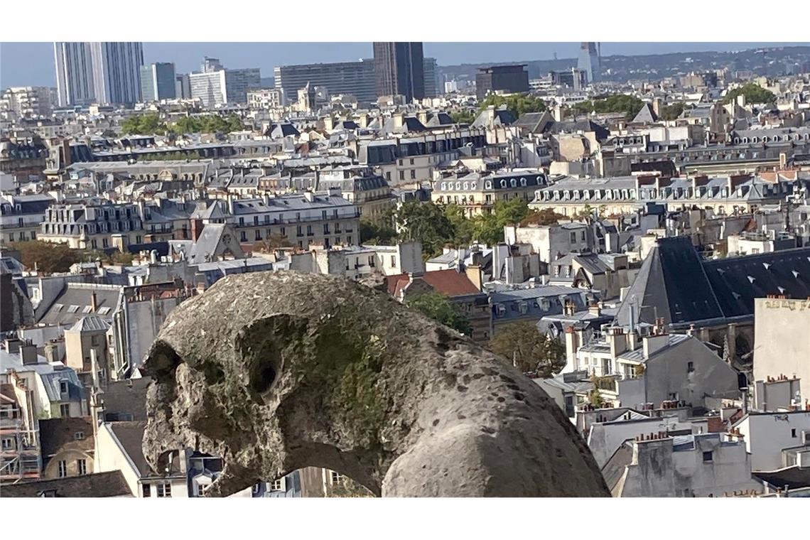 Chimären, die steinernen Mischwesen wachen über Notre-Dame.