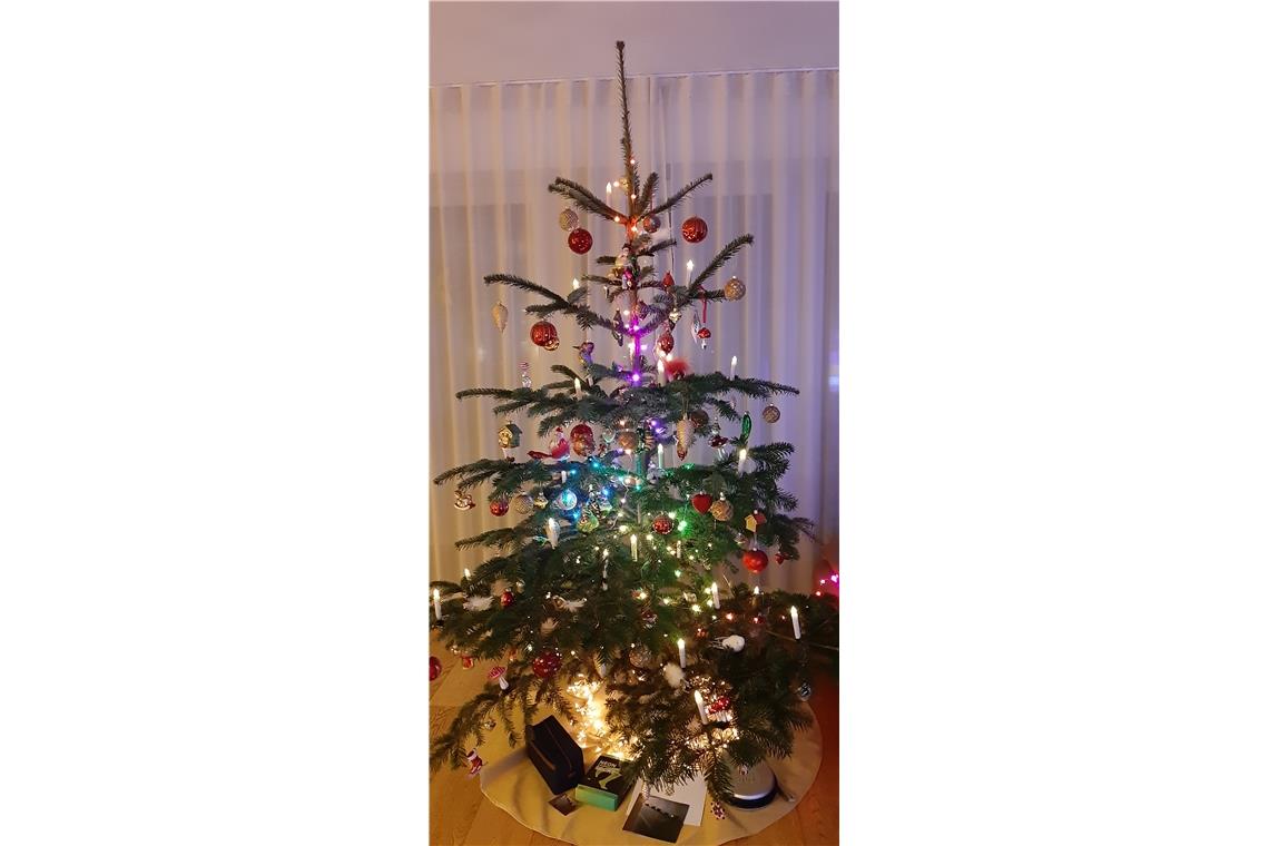 Christbaum aus Oppes