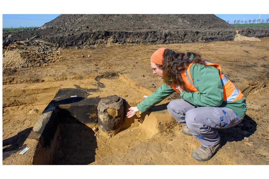 Archäologen entdecken 3500 Jahre alten Grabhügel Christian Lau, Archäologe vom Landesamt für Denkmalpflege und Archäologie Sachsen-Anhalt zeigt auf einen Tonnengefäß mit Deckgefäß. Die Graburne ist Teil eines bronzezeitlichen Bestattungsfeldes.