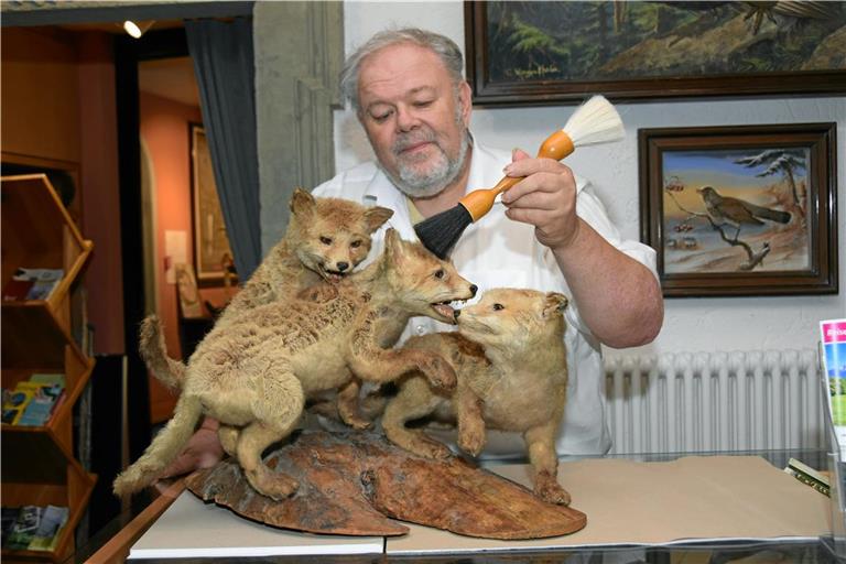 Christian Schweizer restauriert das Präparat dreier junger Füchse. Zwei der Tiere hat er selbst Mitte der 1980er-Jahre präpariert. Foto: Elisabeth Klaper