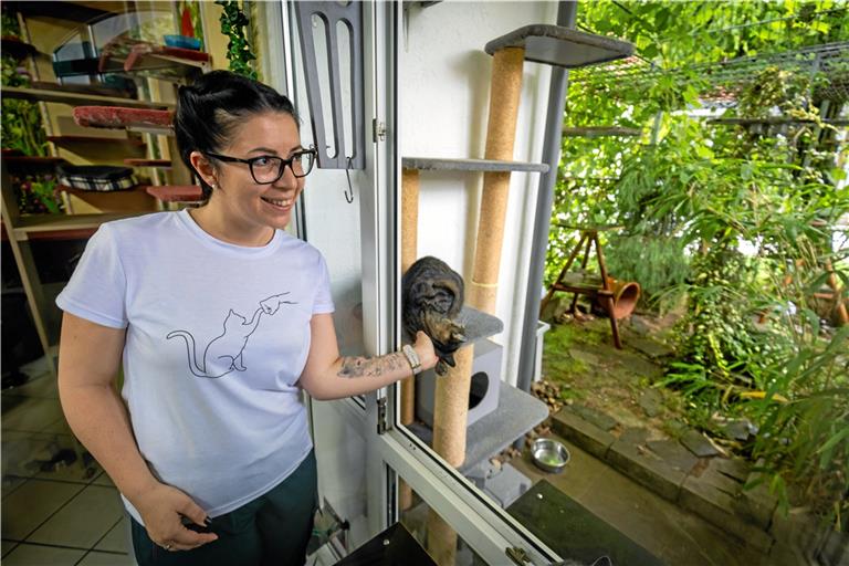 Christina Reiss leitet die Katzenpension seit zwei Jahren. Im Gartenzimmer können die Tiere auch in einem eingezäunten Bereich nach draußen. Überall gibt es viele Kletter- und Versteckmöglichkeiten. Fotos: Alexander Becher
