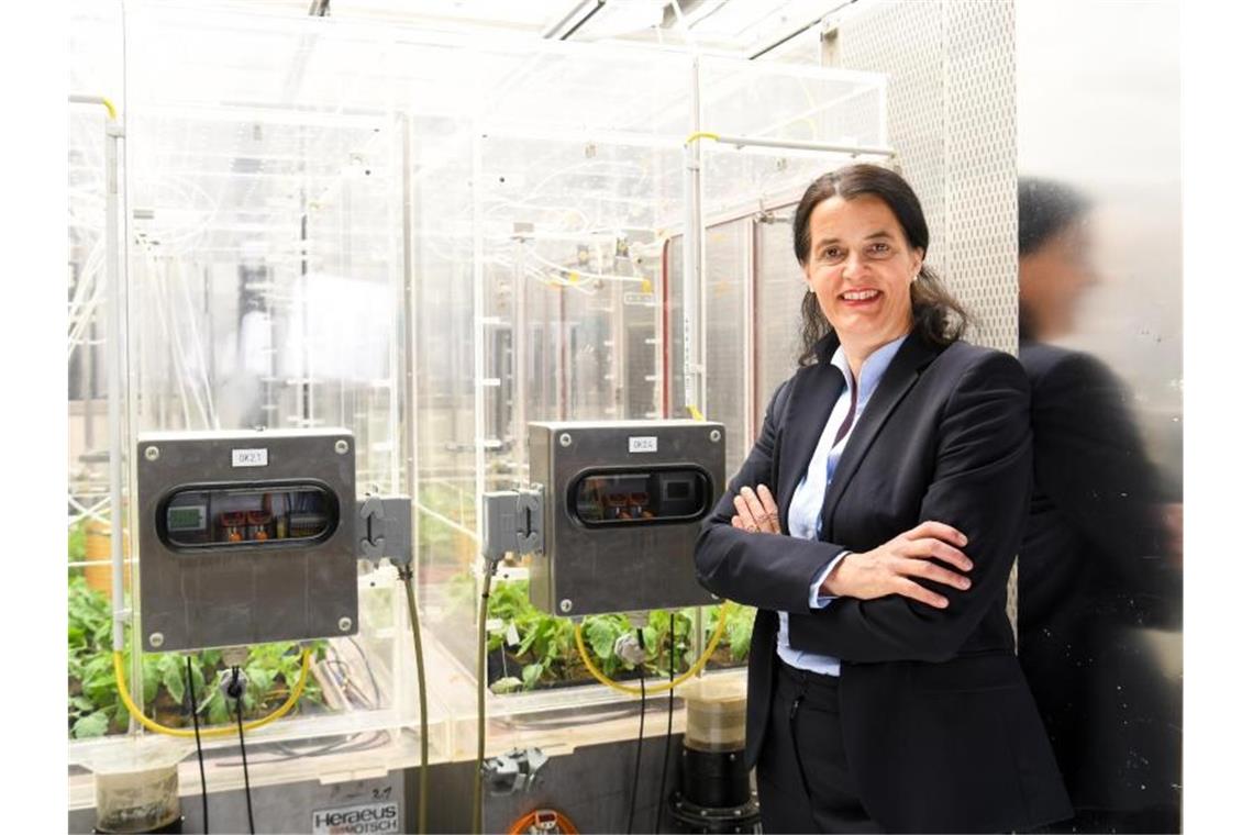 Forscher schmieden Allianz im Kampf gegen Corona Claudia Traidl-Hoffmann steht in der Klimakammer an ihrem Institut. Foto: Tobias Hase/dpa
