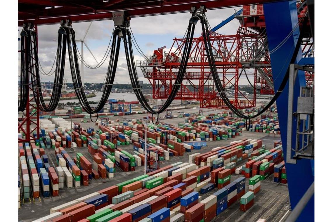 Container liegen zur Abfertigung am Containerterminal im Hamburger Hafen. Foto: Axel Heimken/dpa
