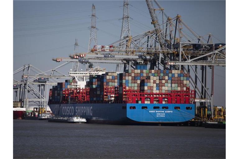 Container werden von einem Containerschiff im Hafen von Antwerpen entladen. Foto: Virginia Mayo/AP/dpa