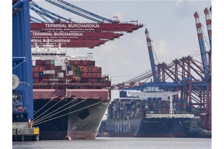 Containerschiffe am Hamburger Hafen. Einer Studie zufolge hängen in Deutschland direkt oder indirekt 607.000 Arbeitsplätze von dem Hafen ab. Foto: Axel Heimken/dpa
