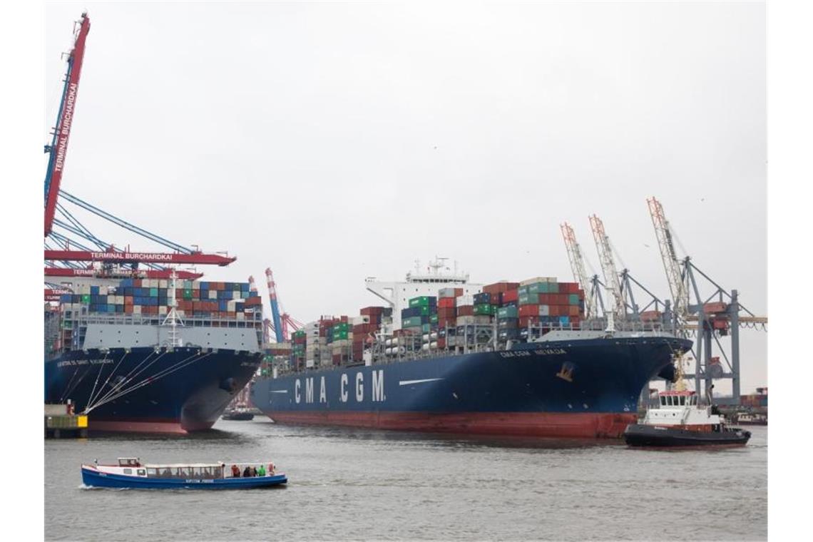 Containerschiffe im Hamburger Hafen. Foto: Christian Charisius