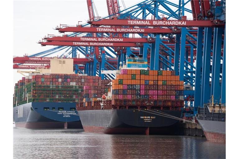 Containerschiffe im Hamburger Hafen - Wenn Lieferketten ins Stocken geraten, hat das Folgen für Kunden. Foto: Daniel Reinhardt/dpa
