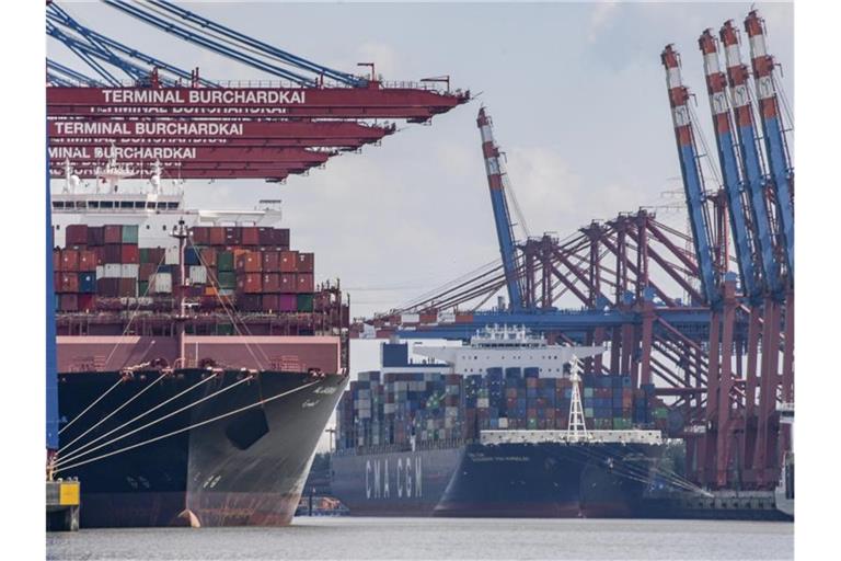 Containerschiffe werden am Terminal Burchardkai (l.) und am Eurogate (r.) in Hamburg entladen. Foto: Axel Heimken/dpa