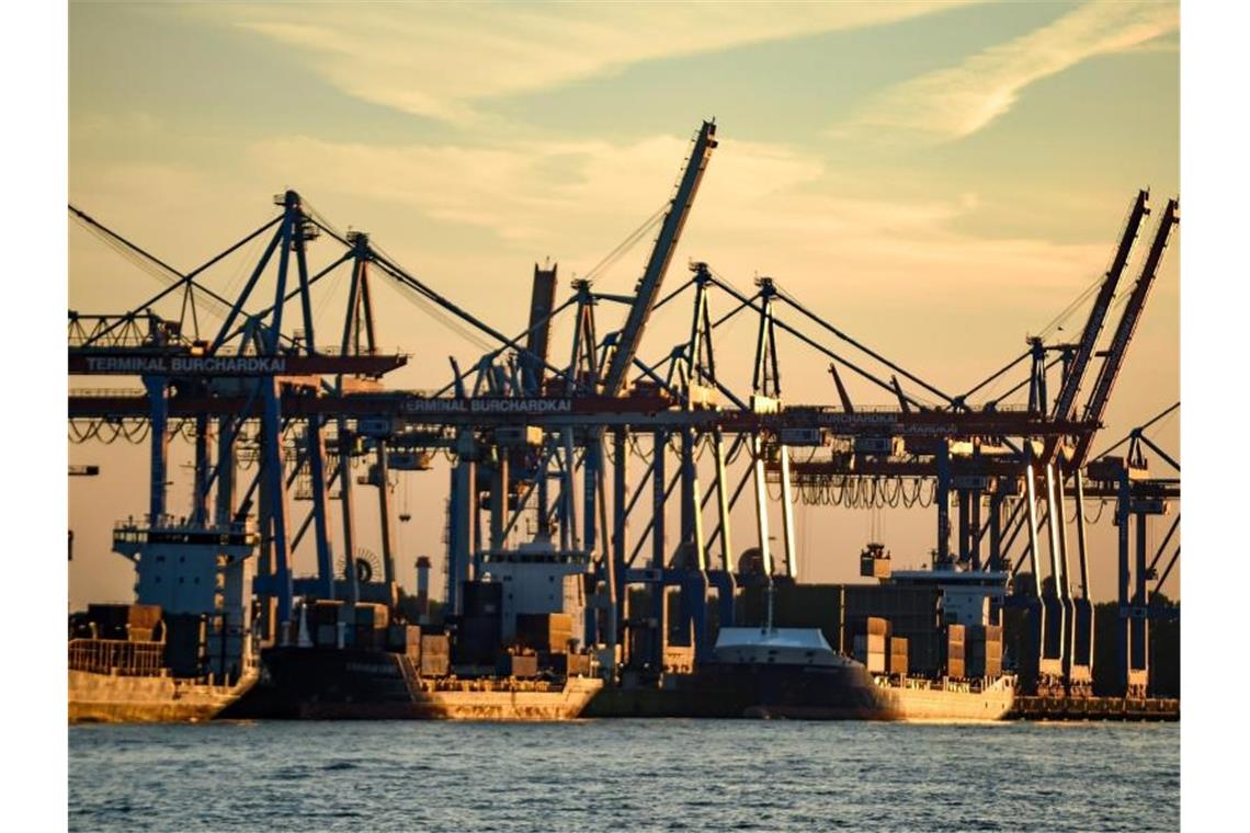 Containerschiffe werden im Hamburger Hafen abgefertigt. Der Verband Deutscher Reeder (VDR) informierte auf der Jahres-Pressekonferenz über das abgelaufene Geschäftsjahr. Foto: Axel Heimken/dpa