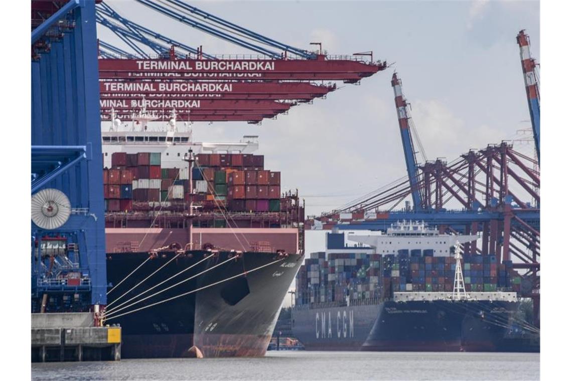Containerschiffe werden im Hamburger Hafen entladen. Foto: Axel Heimken/dpa