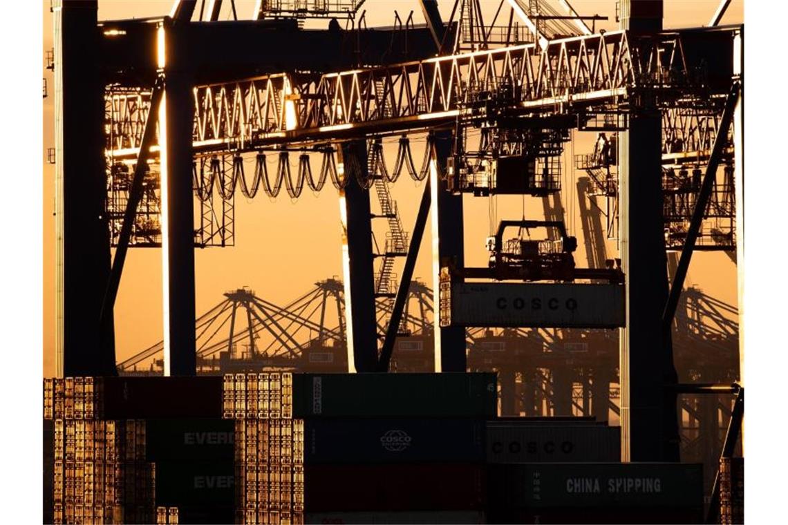 ZEW-Konjunkturerwartungen fallen weiter deutlich Containerterminal in Hamburg: Die Befragten sorgen sich um die wirtschaftlichen Auswirkungen der zweiten Corona-Welle, erklärt ZEW-Präsident Achim Wambach. Foto: Christian Charisius/dpa