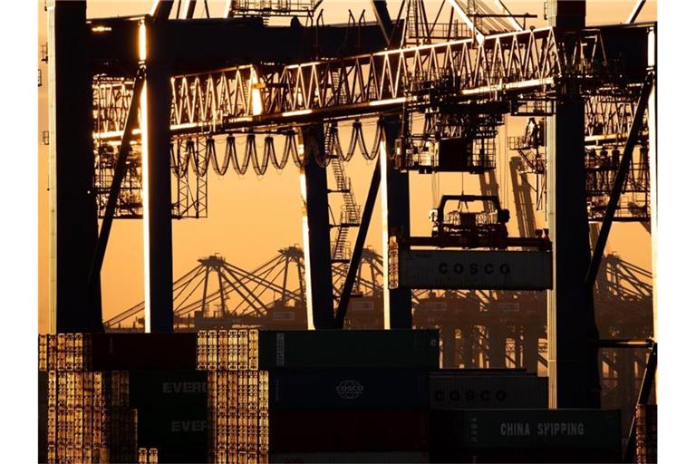Containerterminal in Hamburg: Die Befragten sorgen sich um die wirtschaftlichen Auswirkungen der zweiten Corona-Welle, erklärt ZEW-Präsident Achim Wambach. Foto: Christian Charisius/dpa