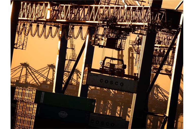 Containerterminal in Hamburg: Die Ursachen der aktuellen Konjunturschwäche liegen im außenwirtschaftlichen Umfeld, sagen Experten. Foto: Christian Charisius/dpa