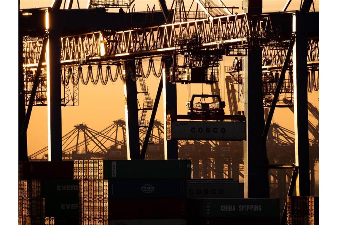 Containerumschlag im Hamburger Hafen: Besonders die exportorientierte deutsche Industrie hat ein hartes Jahr hinter sich. Foto: Christian Charisius/dpa