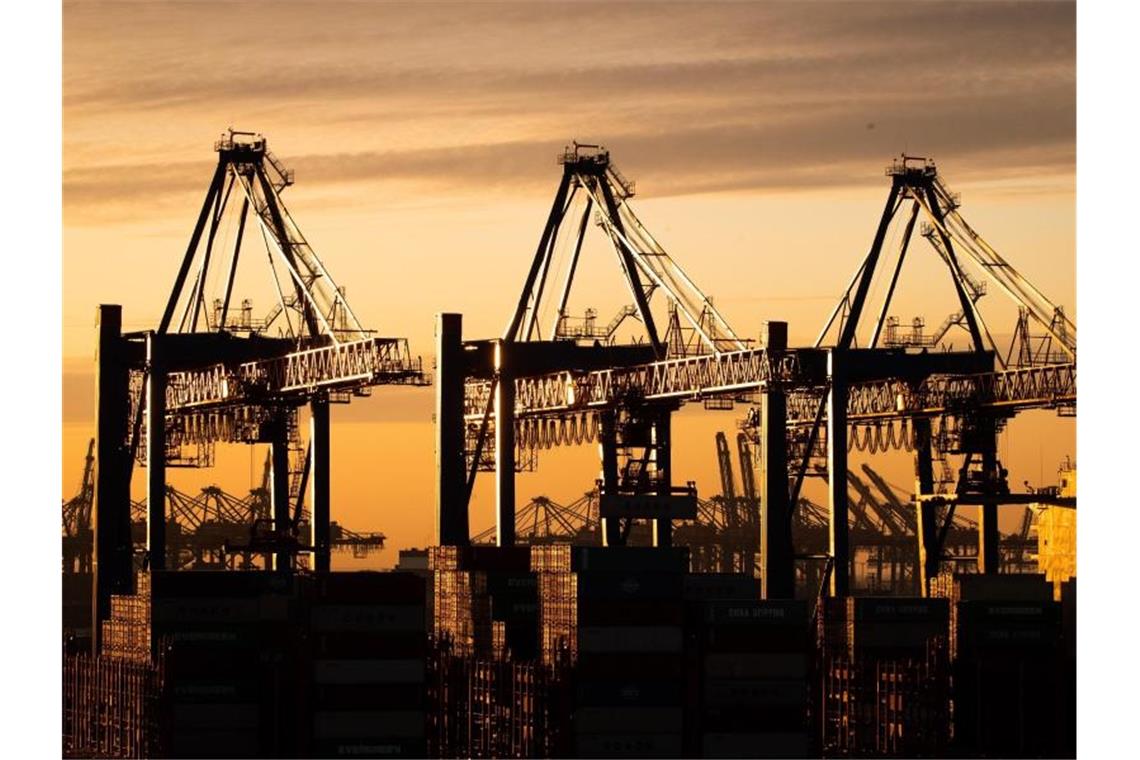 Ifo-Geschäftsklima wieder deutlich besser Containerumschlag im Hamburger Hafen. Foto: Christian Charisius/dpa